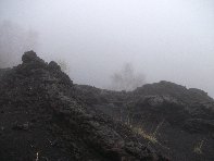 otta di Serracozzo-Eruzione 1971 20100425 087